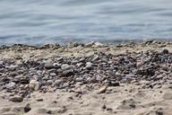 pebbles-stones-sea-beach-ocean-511672.jpg