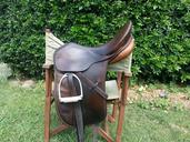 horse-saddle-riding-equine-490704.jpg