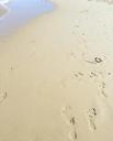 sand-sea-footprints-beach-water-1624221.jpg