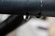 rain-drip-water-wet-macro-646114.jpg