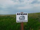 sign-snakes-beware-nature-reptile-964648.jpg