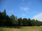 meadow-forest-field-sky-blue-668762.jpg