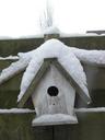 birdhouse-snow-winter-cold-snowy-608019.jpg