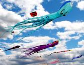 kites-sky-fun-summer-blue-wind-779957.jpg