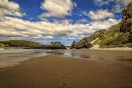 Horse_Trail_on_Aramoana_Beach,_NZ.jpg