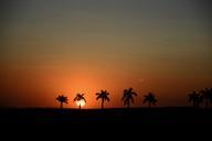 sunset-silhouette-horizon-sol-787269.jpg