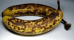 banana-fruit-ripe-brown-fruits-621521.jpg