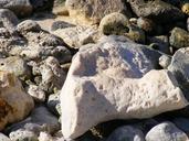 coral-stone-white-hard-ocean-1640976.jpg