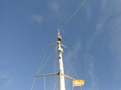 sail-mast-leash-repair-perch-wind-612507.jpg