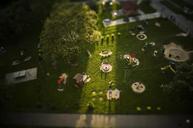 playground-warsaw-tiltsshift-fun-423303.jpg