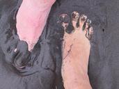 feet-mud-sand-volcano-earth-289001.jpg