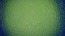 water-bubbles-green-185373.jpg