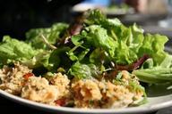 salad-salad-plate-eat-meal-293886.jpg