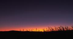 horizon-in-the-evening-sunset-1056654.jpg