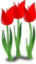 mothers_day_icon_tulips.svg