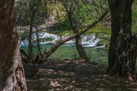 Waterfall_Trail_on_Fossil_Creek.jpg