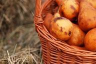 basket-brown-delicious-diet-food-163781.jpg