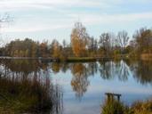 lake-perach-peracher-bathing-lake-523855.jpg