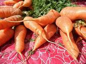 carrots-vegetable-vegetables-101255.jpg