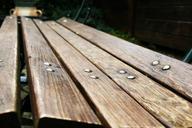 bench-wood-board-park-perspective-558071.jpg