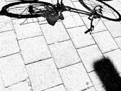 bike-bicycle-shadow-street-271405.jpg