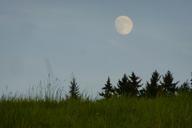 full-moon-dusk-meadow-272525.jpg