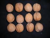 nuts-walnuts-buttons-hell-brown-260162.jpg