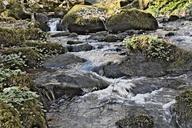 water-courses-river-torrent-rocks-716989.jpg