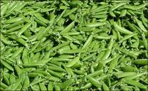 beans-vegetables-green-food-69545.jpg