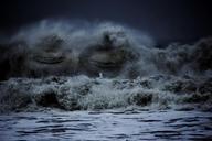 waves-sea-face-buddha-water-ocean-555394.jpg