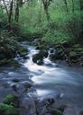 stream-wilderness-water-river-864873.jpg