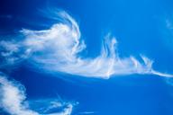 beautiful-clouds-clouds-cirrus-853872.jpg