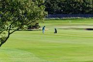 golf-golf-course-golfer-green-928430.jpg