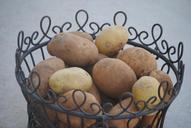 potato-basket-food-vegetable-505305.jpg