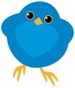 animal-bluebird-cartoon-cute-1299357.svg