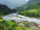 nepal-annapurna-trekking-forest-978330.jpg