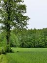 tree-organic-agriculture-outdoors-203682.jpg