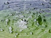 water-water-droplets-ripple-waves-955934.jpg