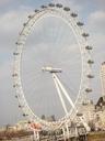 london-eye-london-united-kingdom-162616.jpg