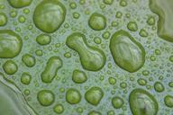 water-drops-forms-figures-drops-979013.jpg