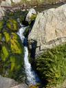 waterfall-cataract-moss-ferns-1651145.jpg