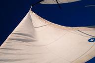 yacht-the-sail-water-wind-359326.jpg