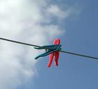 clothesline-laundry-clothespins-498738.jpg