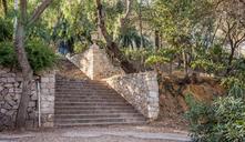 steps-stairway-park-nature-outdoor-1182044.jpg