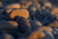 pebble-stone-beach-gravel-nature-1576818.jpg