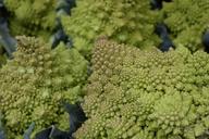 vegetables-veggies-cauliflower-1218702.jpg