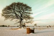 winter-landscape-snow-nature-1039110.jpg