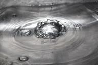 splash-water-spat-bubbles-drops-72880.jpg