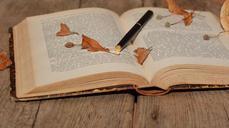 book-font-old-pen-wood-close-613644.jpg