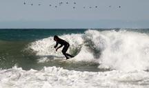 surfer-surfboard-surf-surfing-832469.jpg